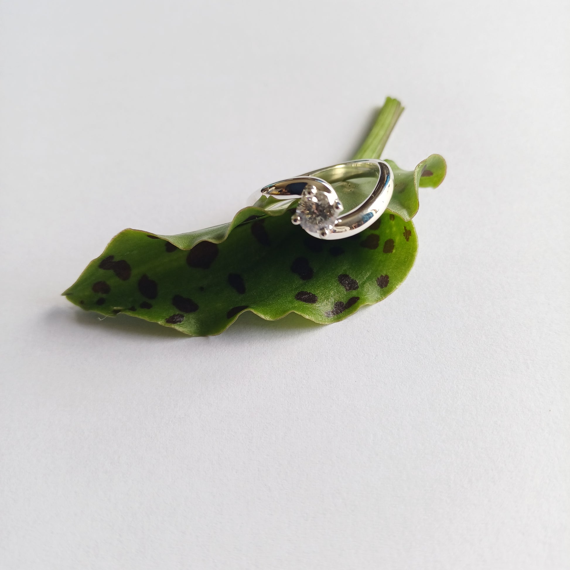 Curved Band Solitaire Ring