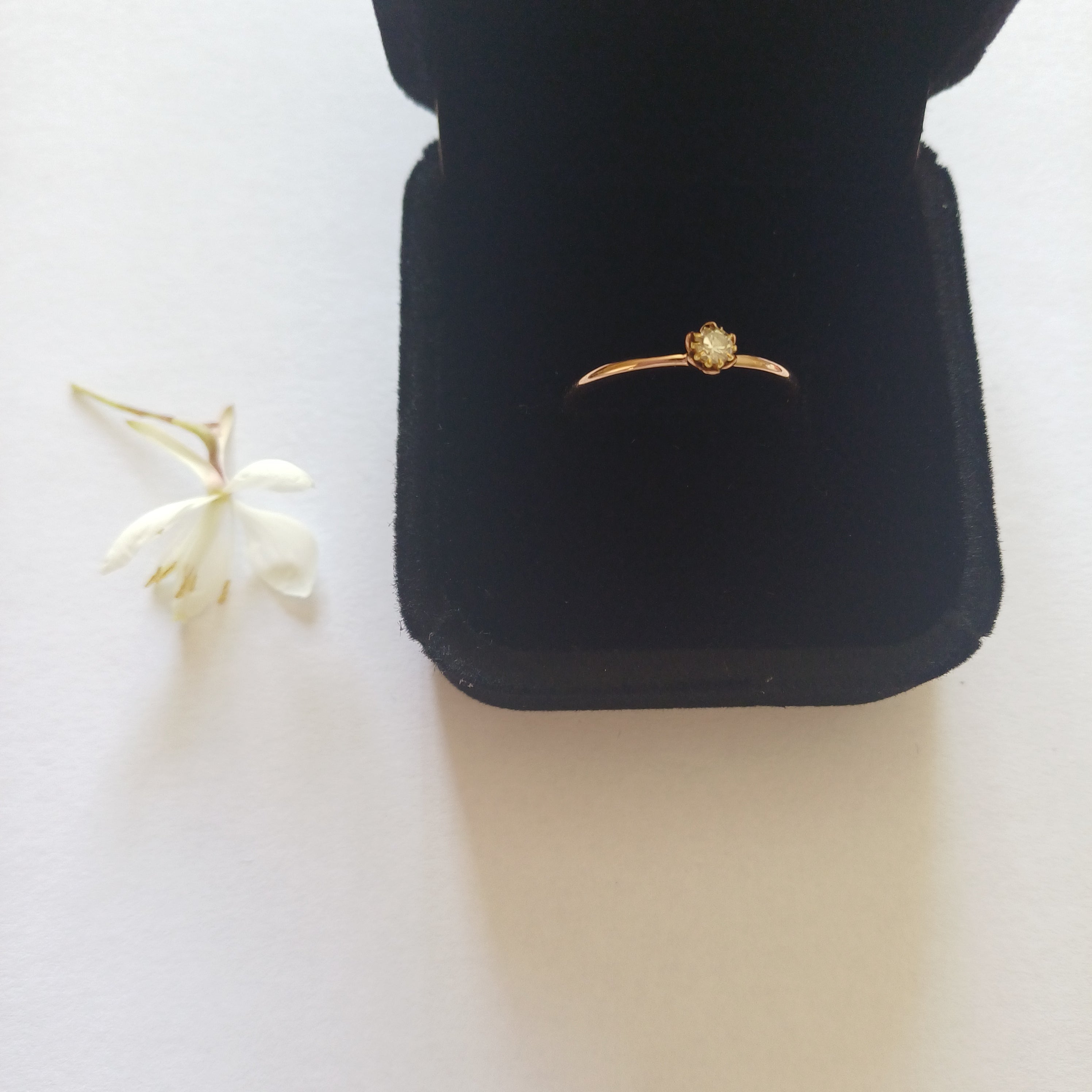Dainty 1.5mm Wide Protea Ring - Elloise Jewelry