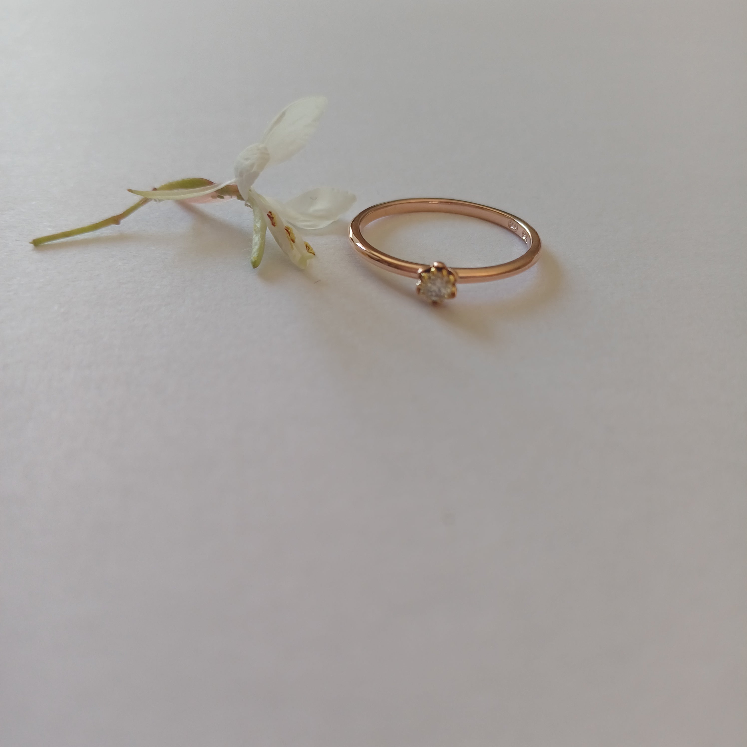 Dainty 1.5mm Wide Protea Ring - Elloise Jewelry