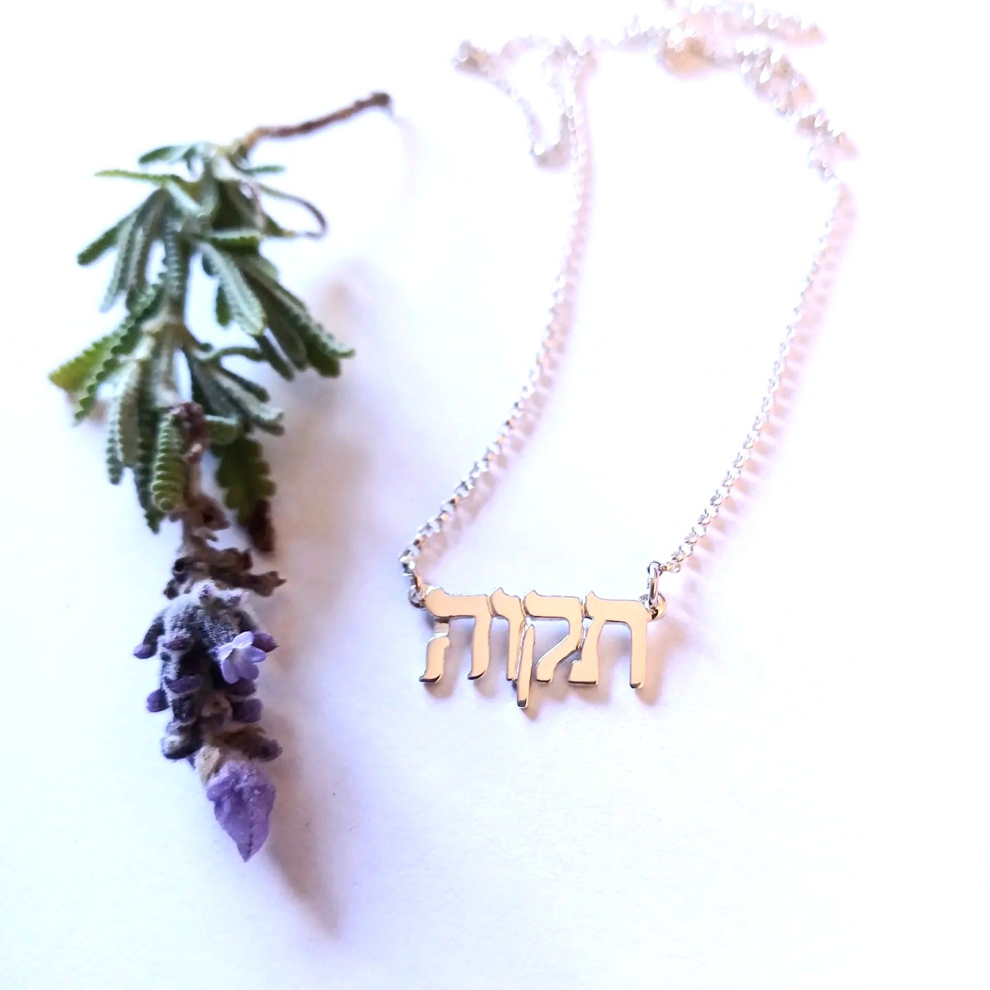 Tikvah/Hope Necklace - Elloise Jewelry
