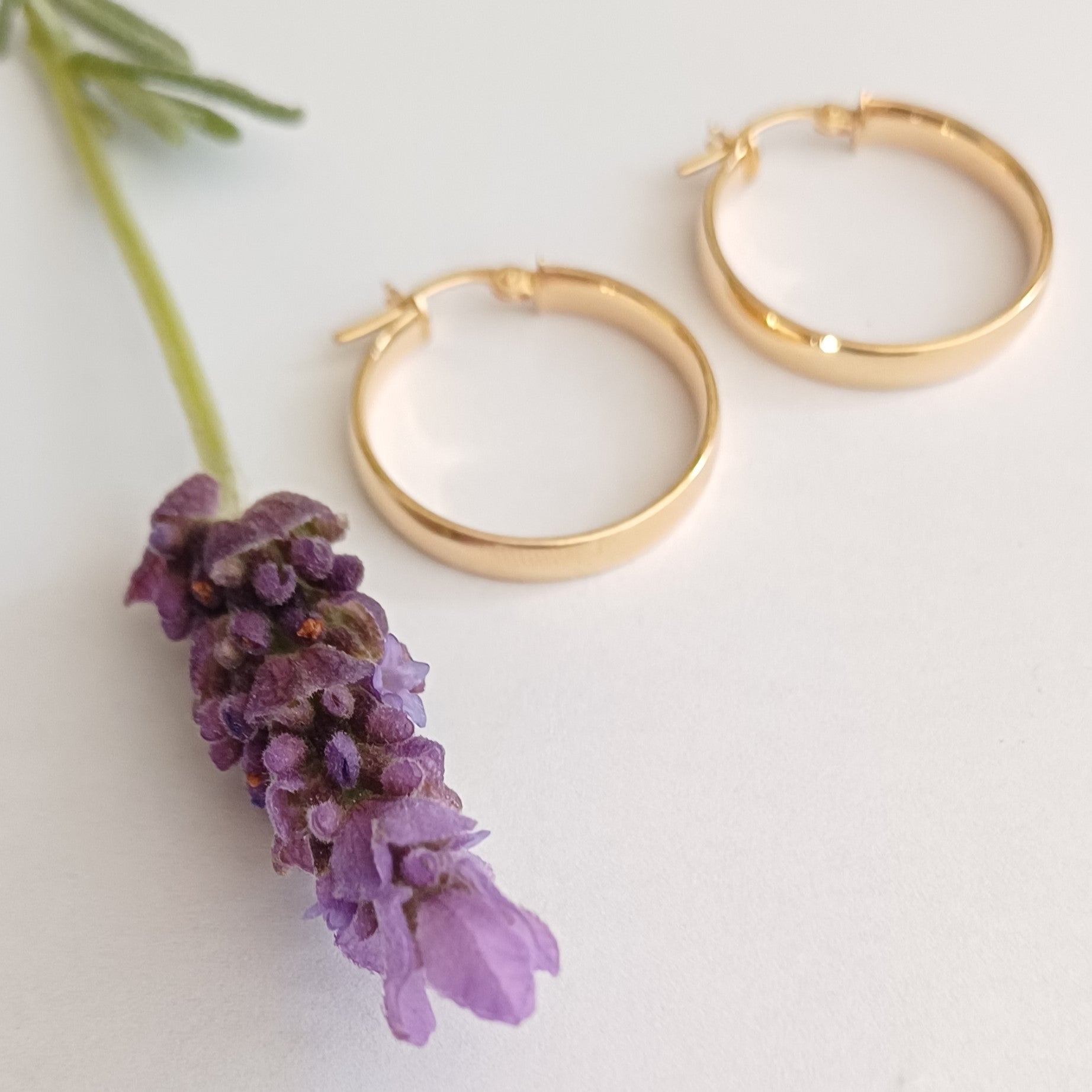 Yellow Gold D-shaped Hoop Earrings - Elloise Jewelry