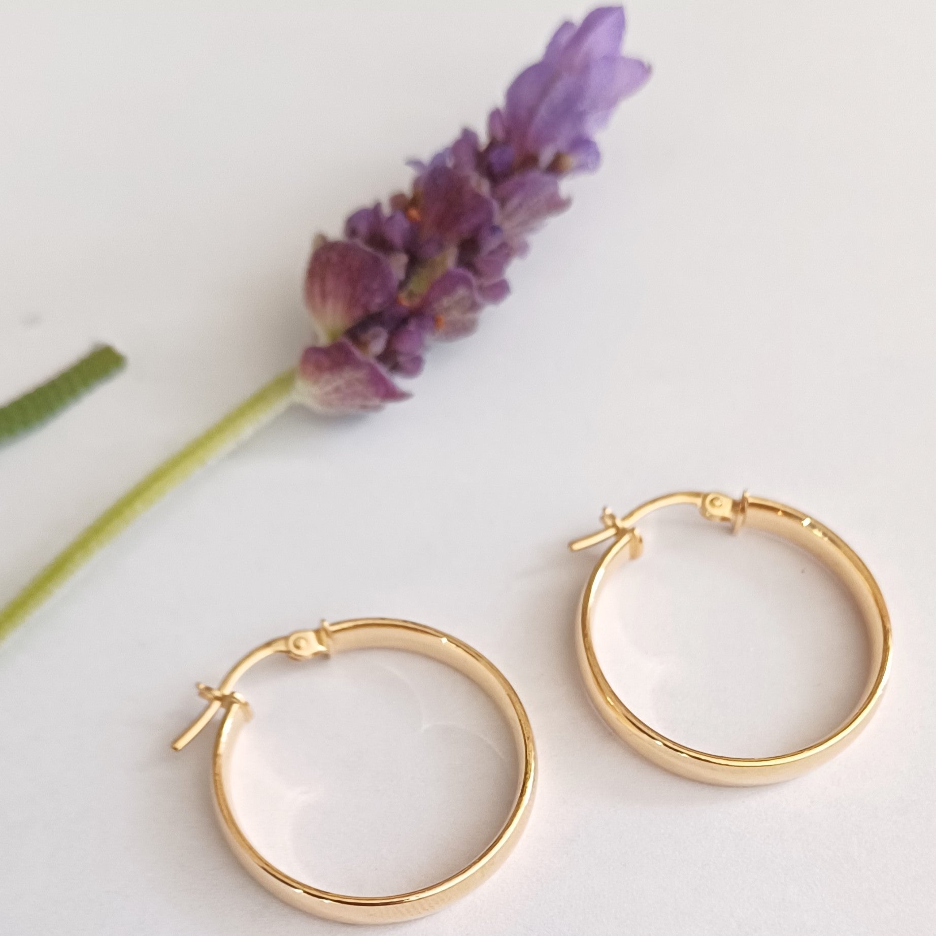 Yellow Gold D-shaped Hoop Earrings - Elloise Jewelry