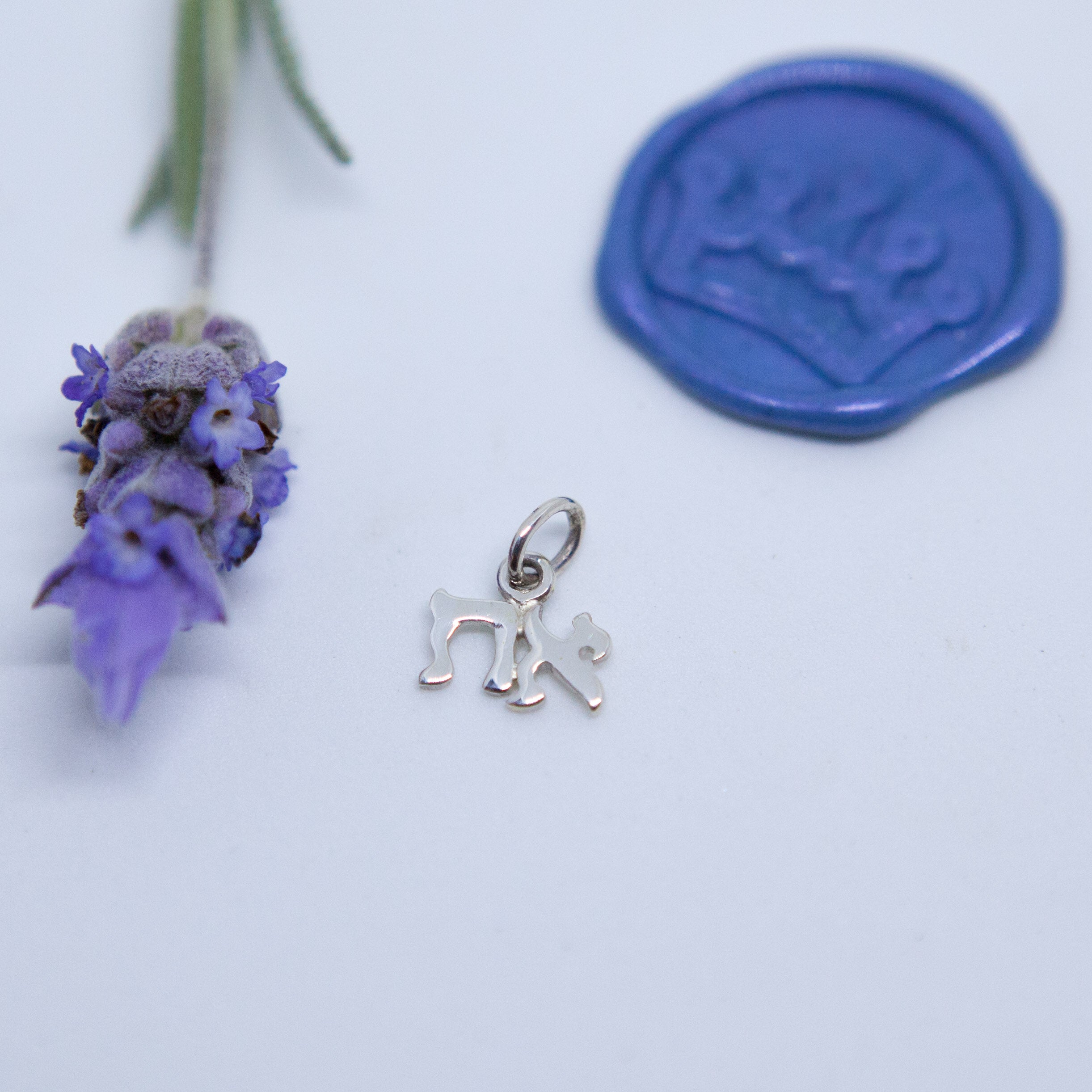 Aleph Tav Pendant - Elloise Jewelry