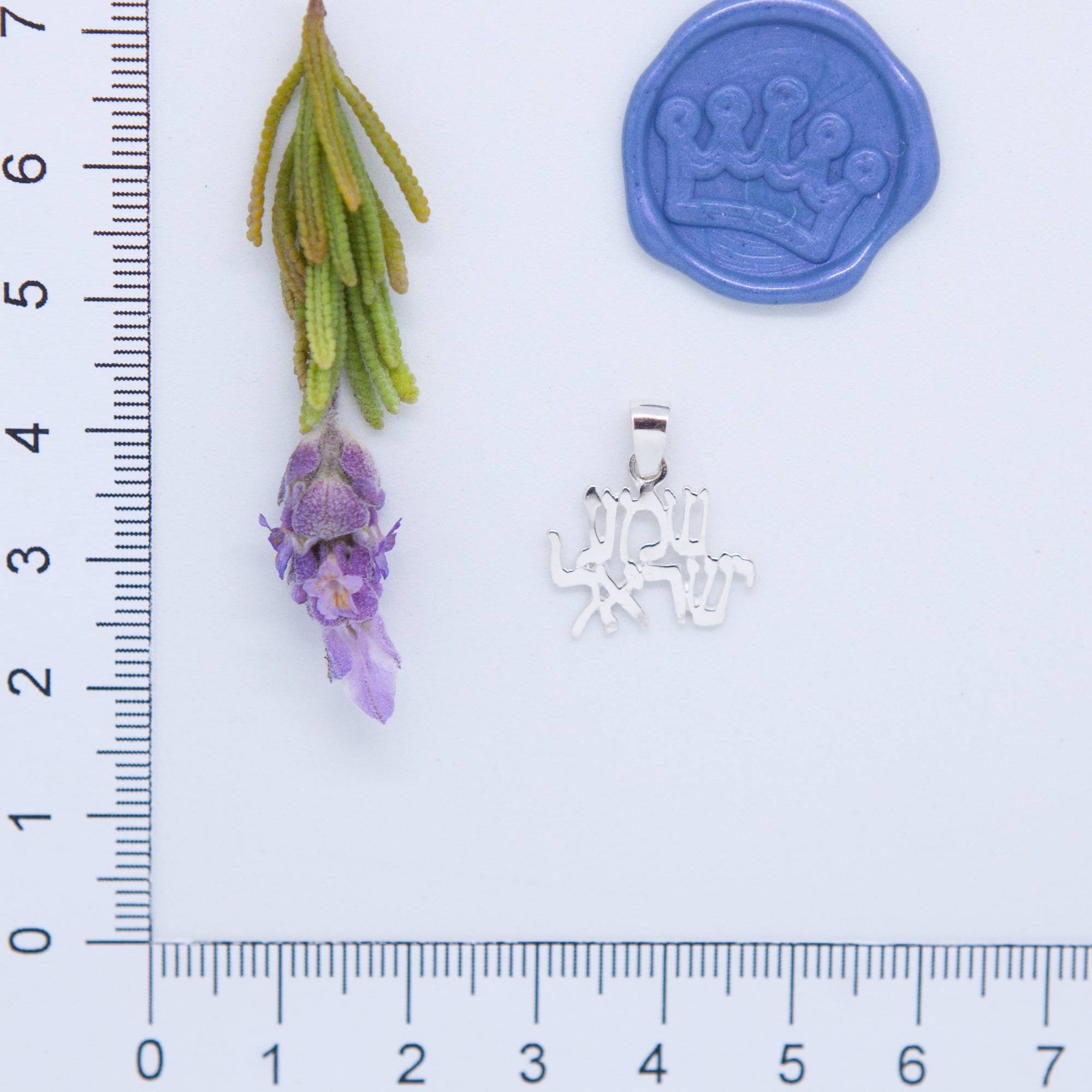 Shema Yisrael Pendant - Elloise Jewelry