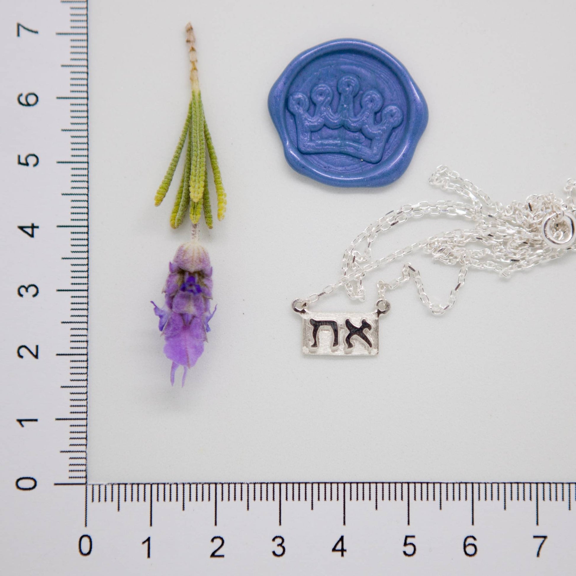 Aleph Tav Necklace - Elloise Jewelry