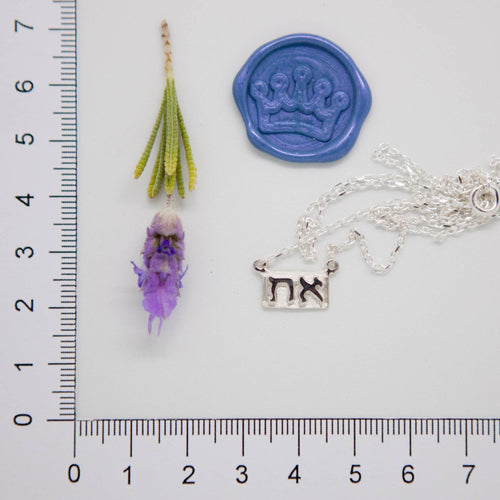 Aleph Tav Necklace - Elloise Jewelry